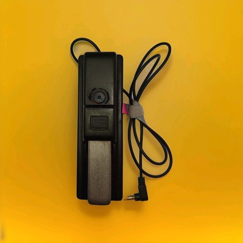 Roland keyboard sustain pedal - sustain,