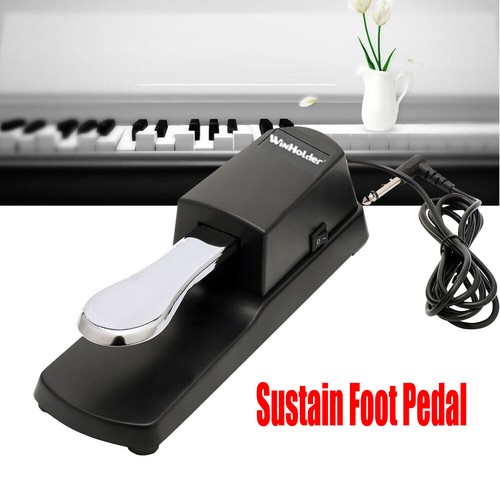 Sustain foot pedal with - sustain,