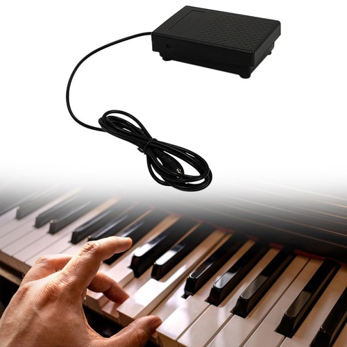 Piano sustain pedal - sustain, slip