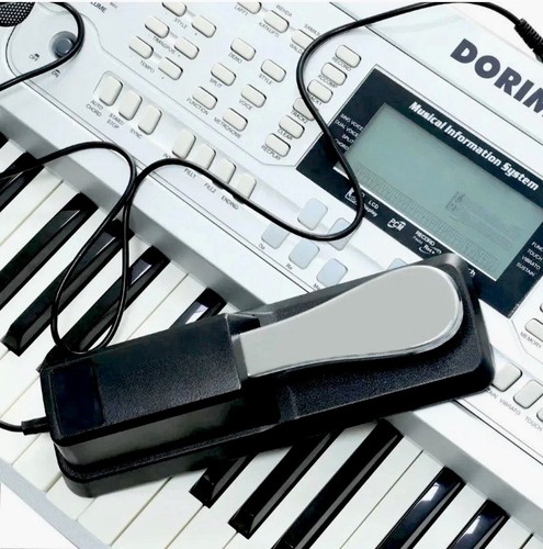Brand new sustain - pedal, for