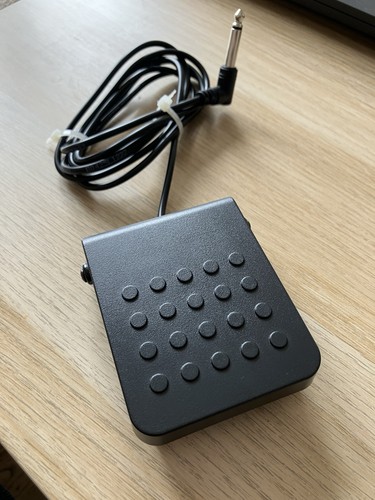Casio sustain hold - casio, pedal