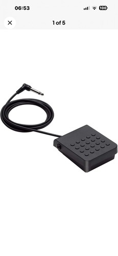 Casio sustain pedal - casio, for