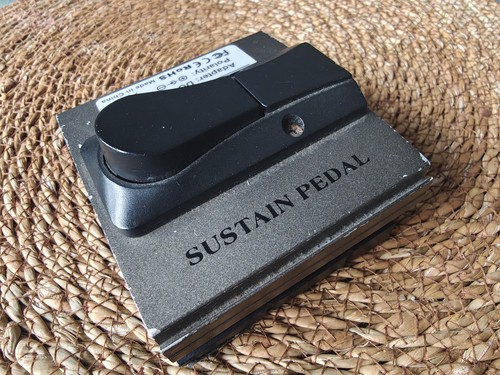 Sustain pedal universal not - pedal,