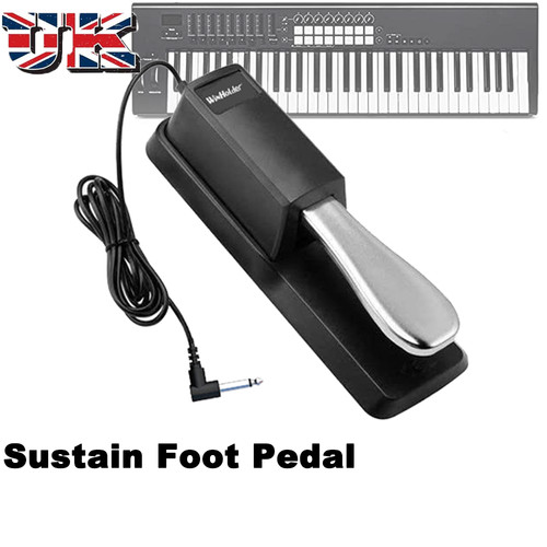 Sustain foot pedal with - foot,