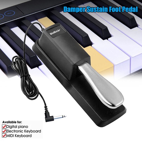 Sustain pedal universal with - pedal,