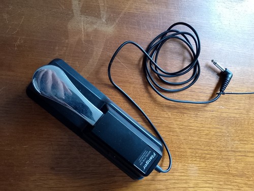 Flanger sustain pedal - flanger, fp-01