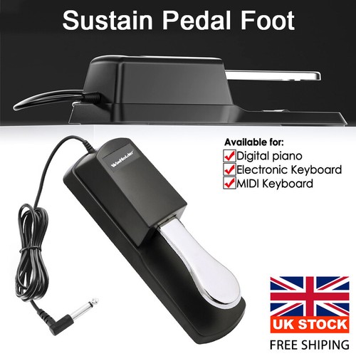 Sustain foot pedal with - sustain,