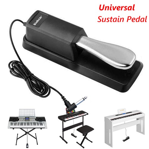 Piano damper sustain pedal - sustain,