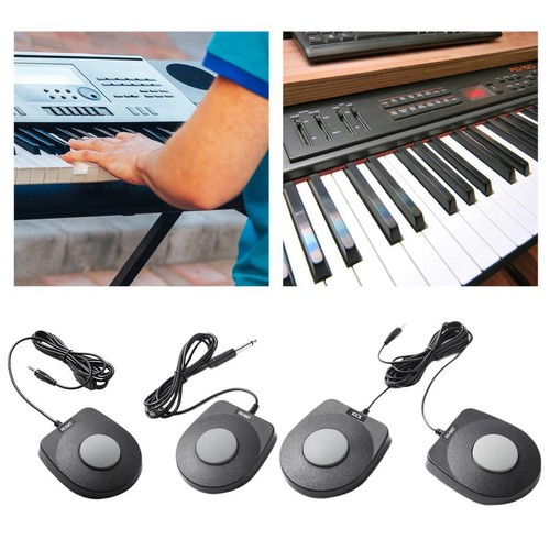 Sustain pedal piano keyboard - sustain,