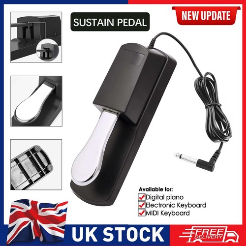 Sustain pedal for - for, keyboard